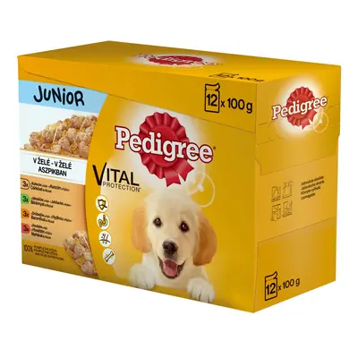 Pedigree Kapsičky pro psy JUNIOR v želé 12 x 100 g