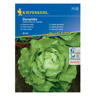 KIEPENKERL Hlávkový salát (Lactuca sativa var. capitata) Dynamite