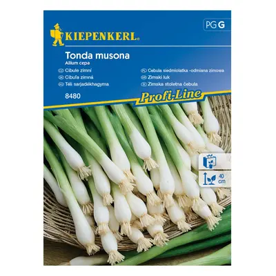 KIEPENKERL Cibule zimní (Allium cepa) Tonda musona