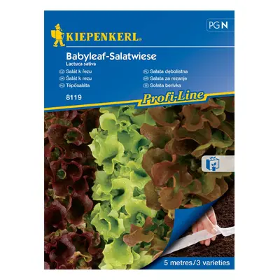 KIEPENKERL Listový salát (Lactuca sativa) Loka, Vili, Kyrio