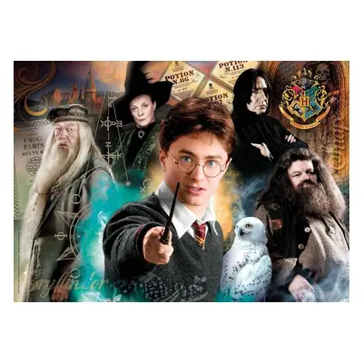 Puzzle Clementoni Puzzle Harry Potter: S profesory 500 dílků