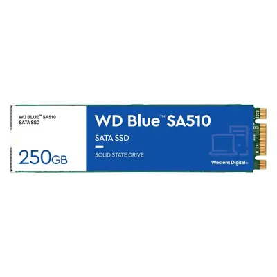 SSD disk WD Blue SA510 SATA 250GB M.2