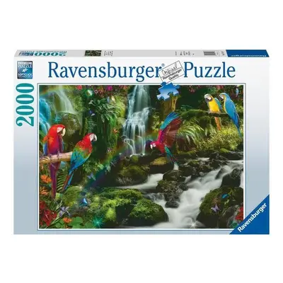 Puzzle Ravensburger puzzle 171118 Barevný papoušek v džungli 2000 dílků