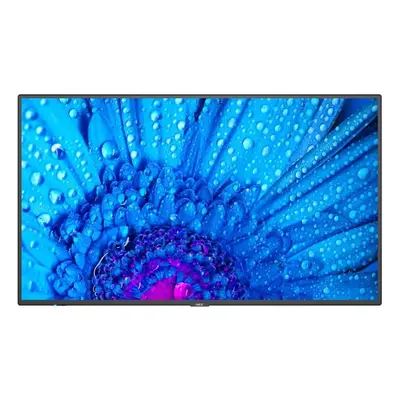 65" LED NEC M651,3840x2160,IPS,24/7,500cd