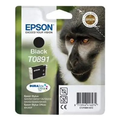 Cartridge Epson T0891 černá