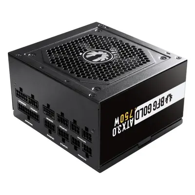 Počítačový zdroj BitFenix BFG Gold 750W