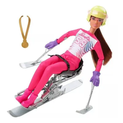 Mattel Barbie Zimní sporty Paralympijská lyžařka, HCN33