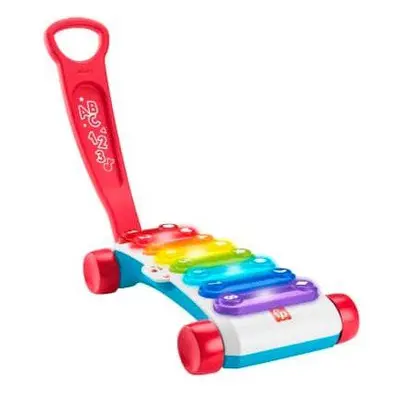 Xylofon pro děti Fisher Price Obří xylofon CZ/SK/EN/HU/PL