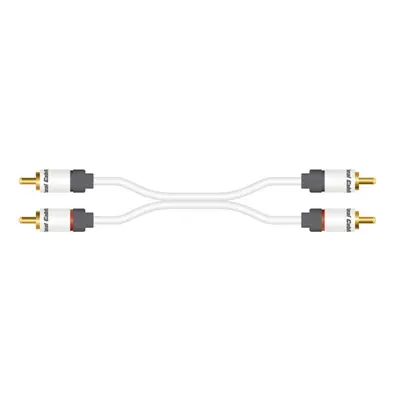 REAL CABLE 2RCA1 1m00 moniteur