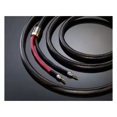 REAL CABLE HD-TDC 2x3m, Master Cable