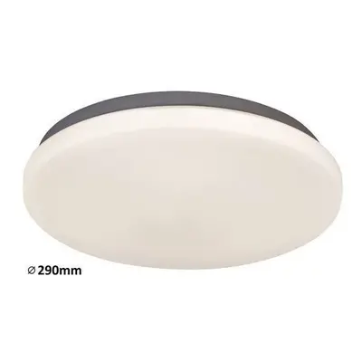 Rabalux 2284 LED stropní svítidlo Rob 1x20W | 1400lm | 4000K - bílá