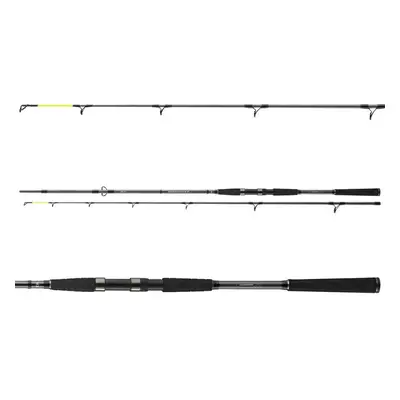 Daiwa Prut Seahunter X 2,6m 60-180g