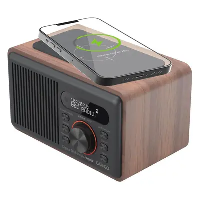 Rádio CARNEO W100, wood