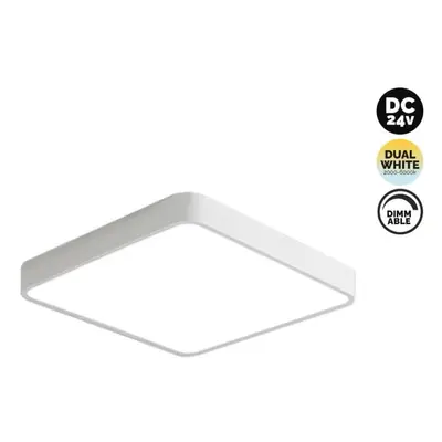 Kama Lights Stropní svítidlo 24V Dual White S300 24W, bílá