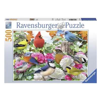 Puzzle Ravensburger puzzle 142231 Ptáci na zahradě 500 dílků