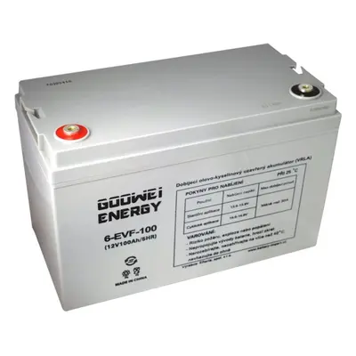 Trakční baterie GOOWEI ENERGY 6-EVF-100, baterie 12V, 100Ah, ELECTRIC VEHICLE