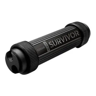 Flash disk Corsair Flash Survivor Stealth 256GB