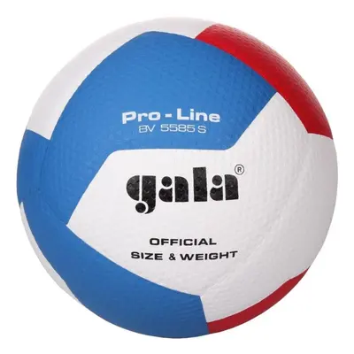 Volejbalový míč Gala Pro Line 12 BV 5585 S