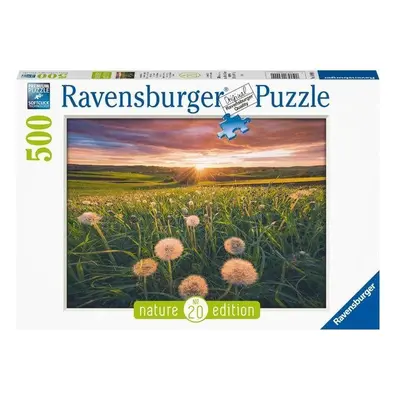 Puzzle Ravensburger puzzle 169900 Pampelišky v západu slunce 500 dílků