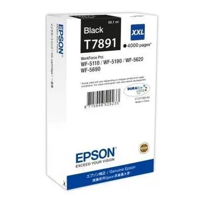 Cartridge Epson C13T789140 79XXL černá