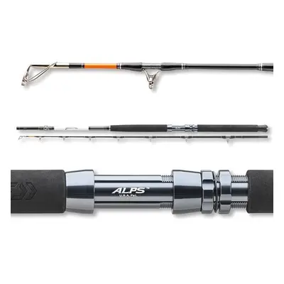 Daiwa Prut Tanacom 2,1m 400-1000g