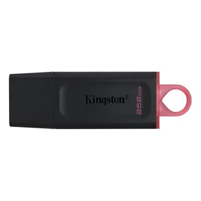 Flash disk Kingston DataTraveler Exodia 256GB