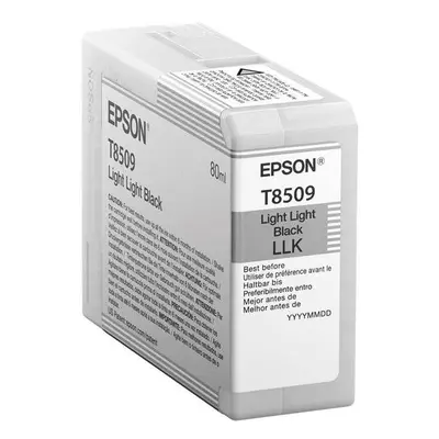 Cartridge Epson T7850900 světle černá