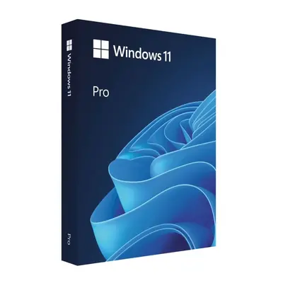 Operační systém Microsoft Windows 11 Pro, EN, USB (FPP)