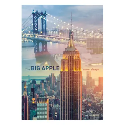 Puzzle Trefl Puzzle New York za úsvitu 1000 dílků