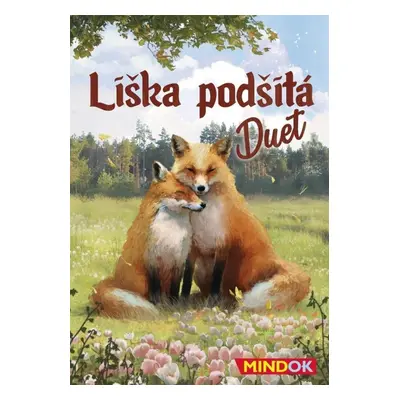 Společenská hra Liška podšitá duet