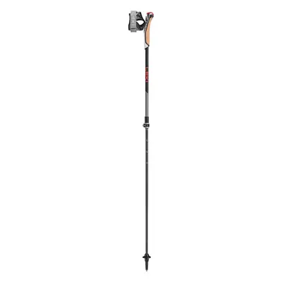 Nordic walking hůlky Leki Instructor Lite dark anthracite-silvergray-bright red 100 - 125 cm