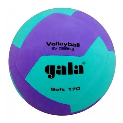 Volejbalový míč Gala Soft 170 BV 5685 S