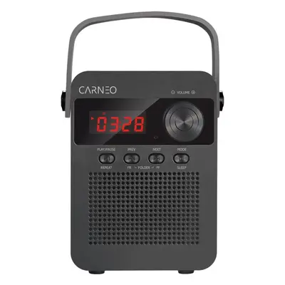 Rádio CARNEO F90 black/wood