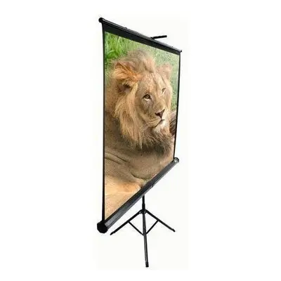 Projekční plátno ELITE SCREENS, mobilní trojnožka 119"(1:1)