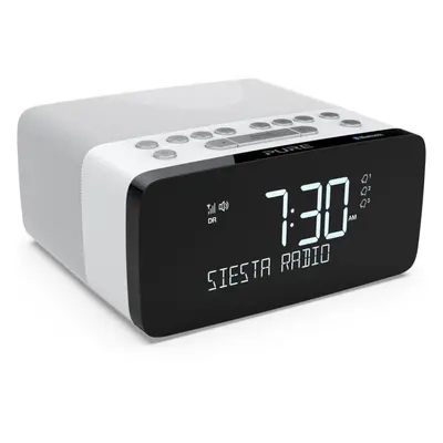 Radiobudík Pure Siesta Charge Polar