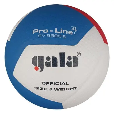 Volejbalový míč Gala Pro Line 12 BV 5595 S