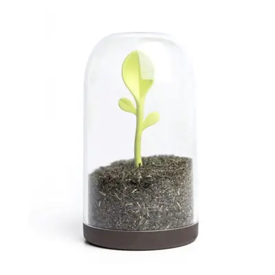 QUALY DESIGN Dóza se lžičkou Sprout Jar 10205BN