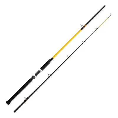 WFT Prut Never Crack Catfish Boat LTC 2,4m 250-1000g