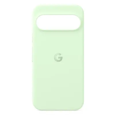 Kryt na mobil Google Pixel 9 / 9 Pro Case Wintergreen