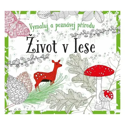 Omalovánky Omalovánky Život v lese: Vymaluj a poznávej přírodu