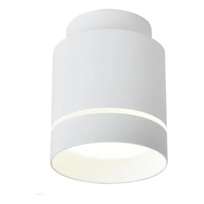 Stropní světlo LED Stropní svítidlo TUBA LED/12W/230V