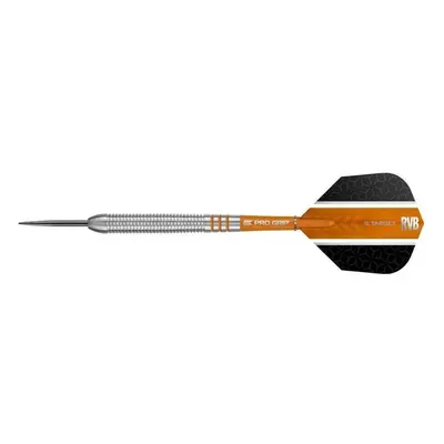 Šipky Šipky Target steel Raymond van Barneveld 23g, 80% wolfram RVB