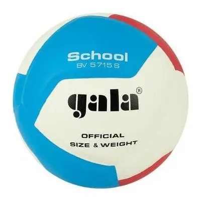 Volejbalový míč Gala School BV 5715 S