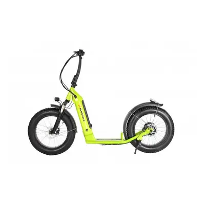 Elektrická koloběžka X-scooters XT08 48V Li - zelená