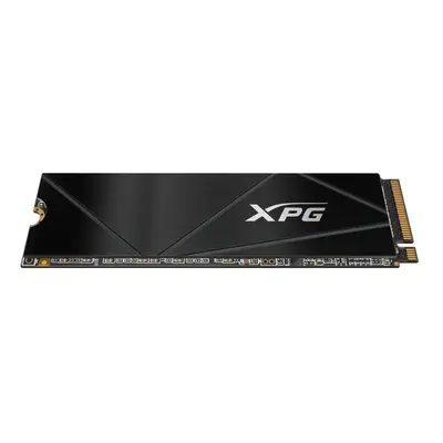 SSD disk ADATA XPG GAMMIX S50 CORE 1TB