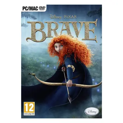 Hra na PC Brave CZ