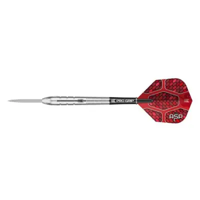 Šipky TARGET steel Nathan Aspinall 24g 90% wolfram