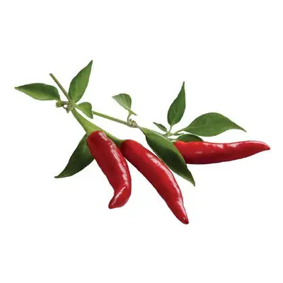 Sazenice Click And Grow Chilli Paprička