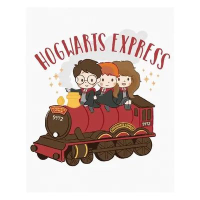 Malování podle čísel Bradavický express (Harry Potter), 40x50 cm, vypnuté plátno na rám