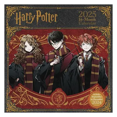 HARRY POTTER (30,5 x 30,5|61 cm) 16